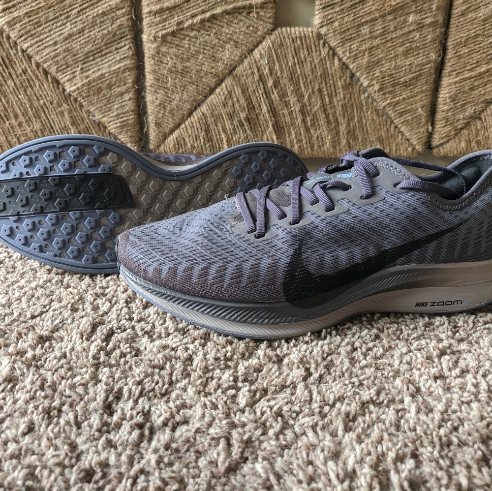 Nike Pegasus Turbo 2